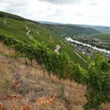 ADAC Rallye Deutschland