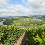 ADAC Rallye Deutschland