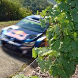 ADAC Rallye Deutschland, Volkswagen Motorsport, Sebastien Ogier