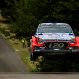 ADAC Rallye Deutschland, 2017, Thierry Neuville