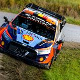 #11 / Hyundai Shell Mobis WRT / Neuville, Thierry / Wydaeghe, Martijn / Hyundai I20 N Rally1 / Central European Rally 2023