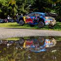125.000 begeisterte Fans säumten bei der Central European Rally die 18 selektiven Asphaltprüfungen im Dreiländereck von Deutschland, Österreich und Tschechien
