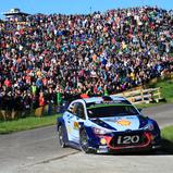 ADAC Rallye Deutschland, Panzerplatte, Thierry Neuville, Hyundai Motorsport