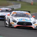 ADAC GT Masters, Oschersleben, Team Zakspeed BKK Mobil Oil Racing, Luca Stolz, Sebastian Asch