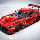 Internationale Fahrerpaarung: Ralf Aron (24) aus Estland und der Schweizer Alain Valente (26) teilen sich das Cockpit (Foto: HRT)