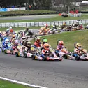 ADAC Kart Masters, Hahn