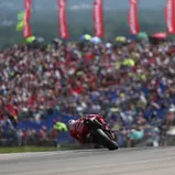 63 BAGNAIA Francesco (ITA) Ducati Lenovo Team DUCATI