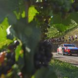ADAC Rallye Deutschland, Hyundai Shell Mobis World Rally Team, Thierry Neuville 