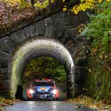 #11 / Hyundai Shell Mobis WRT / Neuville, Thierry / Wydaeghe, Martijn / Hyundai I20 N Rally1 / Central European Rally 2023