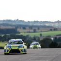 ADAC TCR Germany, Sachsenring, Wolf-Power Racing 2, Mike Halder