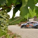 ADAC Rallye Deutschland, Thierry Neuville, Hyundai Shell Mobis World Rally Team