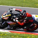 ADAC Junior Cup powered by KTM, Lausitzring, Qualifying, Maximilian Sohnius
