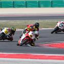 ADAC Northern Europe Cup, Misano, Standard, Rehacek