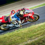 ADAC Northern Europe Cup, Oliver König