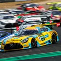 Die Mercedes-AMG Teams HRT, Landgraf und Winward vertreten die Marke mit dem Stern