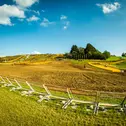 Start frei für das Finale des ADAC MX Masters am 22./23. September 2018 in Holzgerlingen