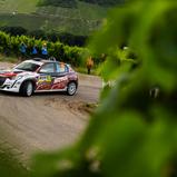 #29 Lasse Karlshøj / Isabell Kvick / Peugeot 208 Rally4 (RC4 / Rally4), Rallye ADAC Mittelrhein
