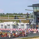 Internationales Feld in der DJKM