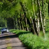 #5 N. Knacker - T. Puls / Hyundai i20 N Rally2 (RC2)