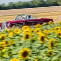 Mercedes-Benz 220 S Cabriolet Sieger Vredestein-Pokal