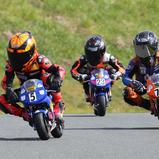 Ole Säuberlich (Bad Blankenburg),  ADAC Pocket Bike Cup, Schlüsselfeld
