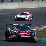#29 Bastian Buus (DNK / Porsche 911 GT3 R Evo / Land-Motorsport), Dekra Lausitzring 2026