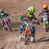 Der ADAC MX Bundesendlauf findet 2024 in Höchstädt statt (Foto: Dino Eisele)