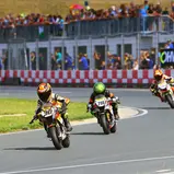 #30 / Bruno Stark / Ohvale MotoMini-110 / ADAC Mini Bike Cup, Mülsen