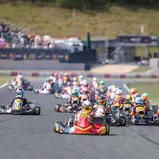#222 / Carlos Nees / Nees Racing / OK-N Junior, DKM Mülsen