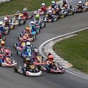 ADAC Kart Masters, Hahn