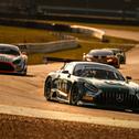 FIA-GT-World-Cup-Sieger Maro Engel bleibt dem Mercedes-AMG Team Toksport WRT treu