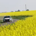 Titelverteidiger Marijan Griebel greift in Sulingen erstmals in die DRM-Saison ein und peilt seinen dritten Sieg in Folge bei der Traditionsrallye an