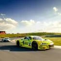 Erster Auftritt: der Land-Audi im "Mamba"-Look