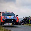#11 / Hyundai Shell Mobis WRT / Neuville, Thierry / Wydaeghe, Martijn / Hyundai I20 N Rally1 / Central European Rally 2023