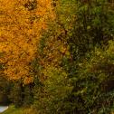 #20 / Toksport WRT 3 / Mikkelsen, Andreas / Eriksen, Torstein / Skoda Fabia Rs Rally2 / Central European Rally 2023
