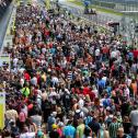 ADAC GT Masters, Fans