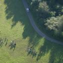 ADAC Rallye Deutschland