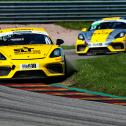Der Porsche 718 Cayman GT4 von Niki Schelle