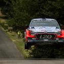 ADAC Rallye Deutschland, 2017, Thierry Neuville