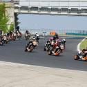 ADAC Junior Cup powered by KTM, Hungaroring, Rennen