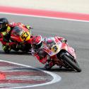 ADAC Northern Europe Cup, Misano, Standard, Erhard