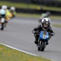 ADAC Mini Bike Cup, ADAC Pocket Bike Cup, Irmscher