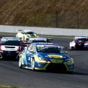ADAC TCR Germany, Oschersleben, Wolf-Power Racing 2, Mike Halder