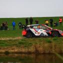 #11 Thierry NEUVILLE, Martijn WYDAEGHE / HYUNDAI SHELL MOBIS WORLD RALLY TEAM / HYUNDAI i20 N Rally1 HYBRID / RC1 Rally1