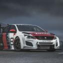 ADAC TCR Germany, Niedertscheider Motorsport, Peugeot