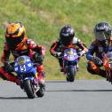 Ole Säuberlich (Bad Blankenburg),  ADAC Pocket Bike Cup, Schlüsselfeld
