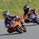 Paul Weinhold (Dresden),  ADAC Pocket Bike Cup, Schlüsselfeld