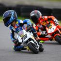 #73 Rudolph, James (St.Egidien) ADAC Pocket Bike Cup / Fassberg