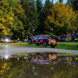 The fan zones on the special stages offer spectators the best view of the action on the breath-taking routes in Germany, the Czech Republic and Austria