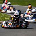 ADAC Kart Masters, Hahn, 2014